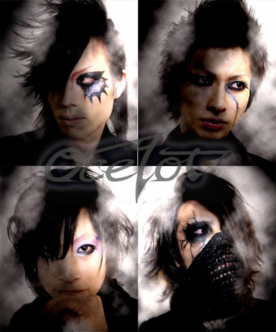 ★Ocelot★