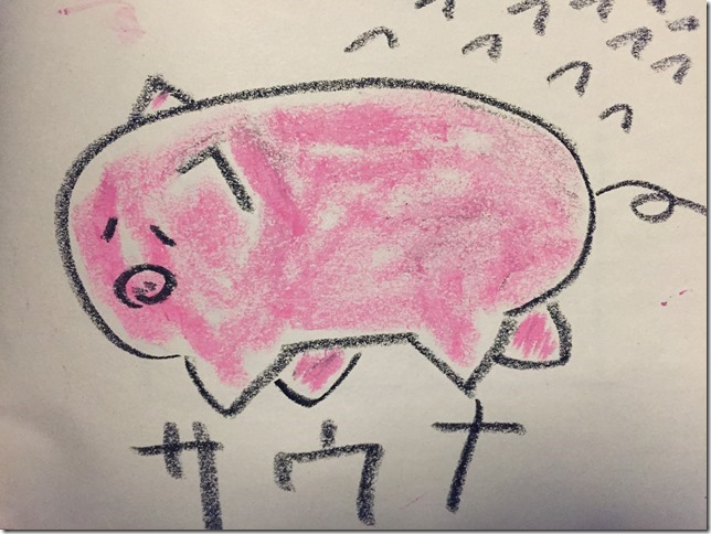 pig